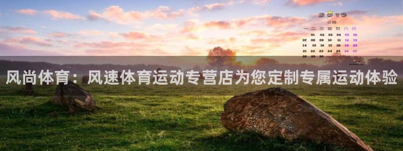 vsport体育官方正版app新能源:风尚体育:风速体育运动