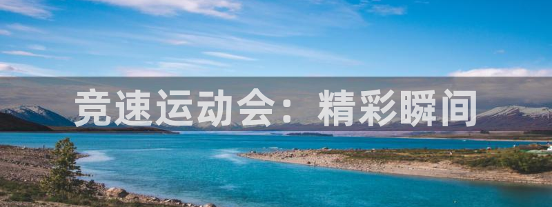 vsport体育官方正版app娱乐下载:竞速运动会:精彩瞬间