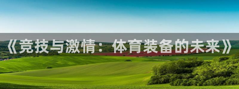 vsport体育官网下载招商电话地址:《竞技与激情:体育装备